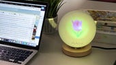 Can a desk lamp increase employee gratitude?