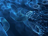 Demand for blockchain skills shot up 552% in 2022. Here's why